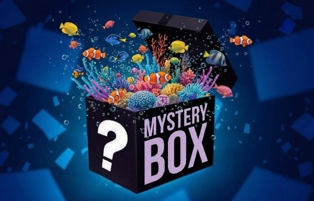 Mystery Coral Box
